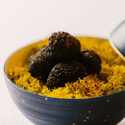 Truffe noire - 30 g